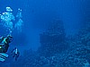 IMG_2194.JPG