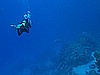IMG_2199.JPG