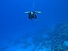 IMG_2200.JPG