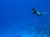 IMG_2201.JPG
