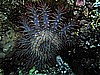 IMG_2204.JPG