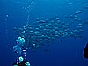 IMG_2209.JPG