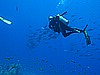 IMG_2216.JPG