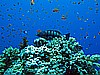 IMG_2217.JPG