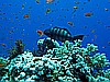 IMG_2218.JPG