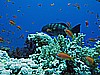 IMG_2219.JPG