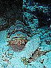 IMG_2220.JPG