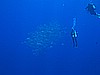 IMG_2225.JPG