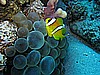 IMG_2240.JPG