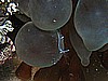 IMG_2241.JPG