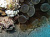 IMG_2243.JPG