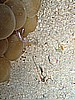 IMG_2246.JPG
