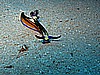 IMG_2253.JPG