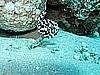 IMG_2257.JPG