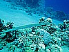 IMG_2259.JPG