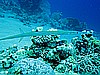 IMG_2260.JPG