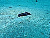 IMG_2263.JPG