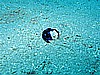 IMG_2266.JPG