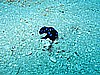 IMG_2267.JPG
