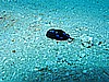 IMG_2268.JPG