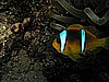 IMG_2270.JPG