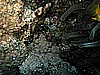 IMG_2271.JPG