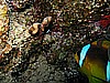 IMG_2273.JPG