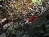 IMG_2275.JPG