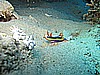 IMG_2280.JPG