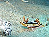 IMG_2280_1.jpg