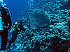 IMG_2324.JPG