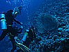 IMG_2325.JPG
