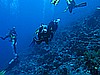 IMG_2326.JPG