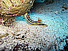 IMG_2327.JPG