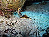 IMG_2328.JPG