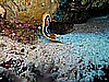 IMG_2331.JPG