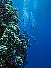 IMG_2340.JPG