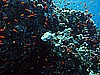 IMG_2341.JPG