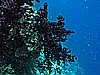 IMG_2342.JPG
