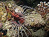 IMG_2359.JPG