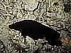 IMG_2366.JPG