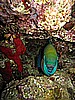 IMG_2372.JPG