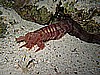 IMG_2374.JPG