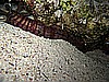 IMG_2375.JPG