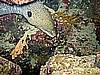 IMG_2376.JPG