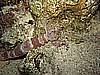 IMG_2377.JPG