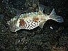 IMG_2381.JPG