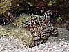 IMG_2383.JPG