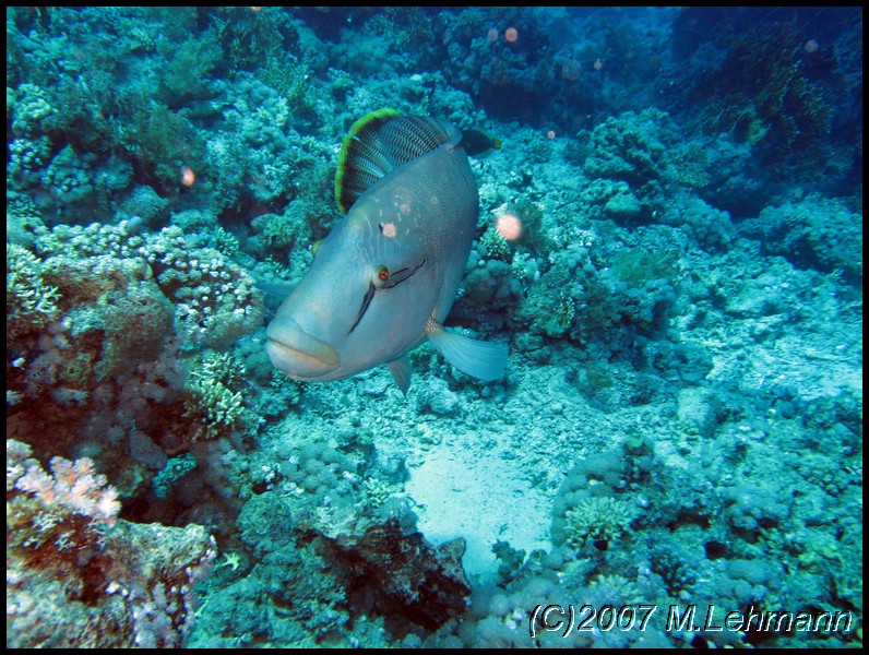 IMG_2436.JPG
