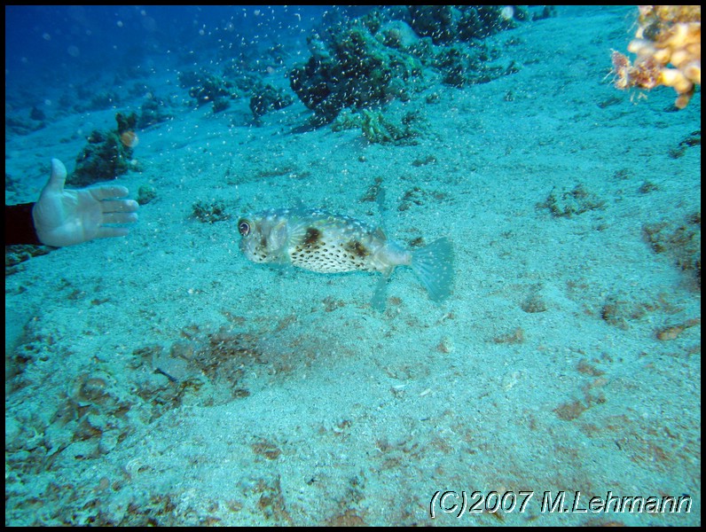 IMG_2483.JPG